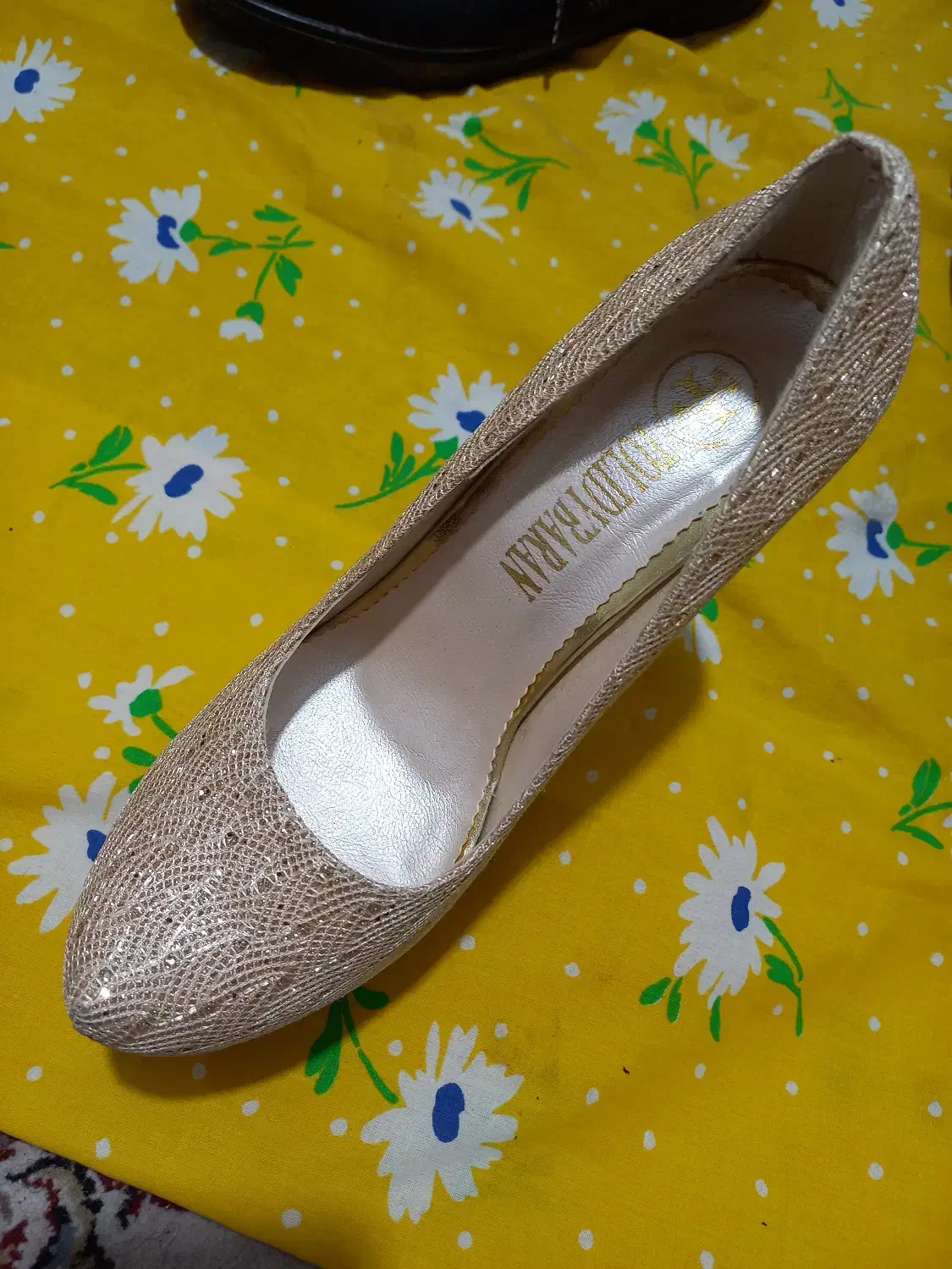 کفش مجلسی|کیف، کفش، کمربند|قائم‌شهر, |دیوار