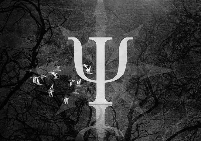 سوئیت قیمت مناسب می‌خوام|فعالیت داوطلبانه تحقیقاتی|شیراز, وصال|دیوار