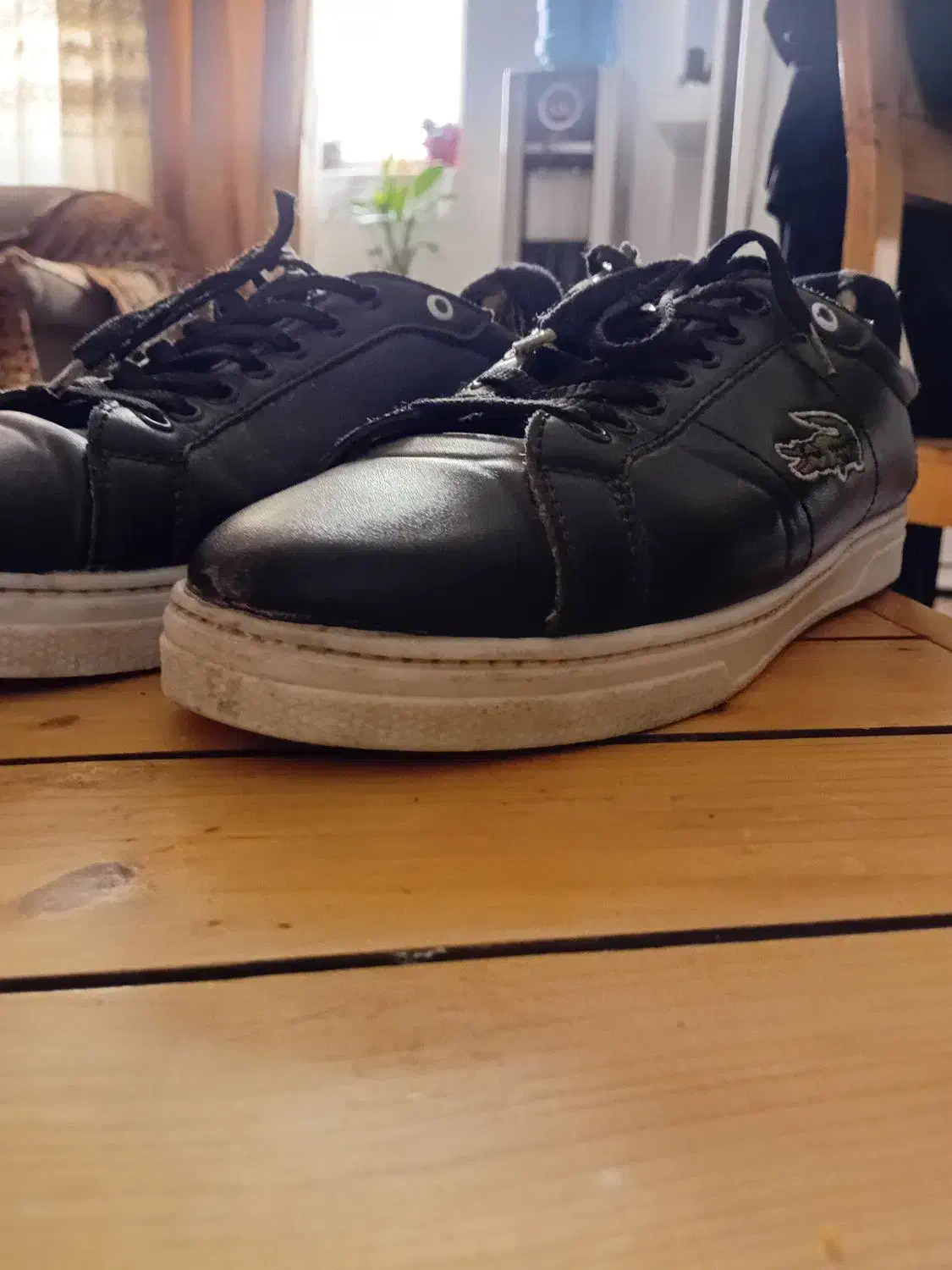 کفش|کیف، کفش، کمربند|بوشهر, |دیوار