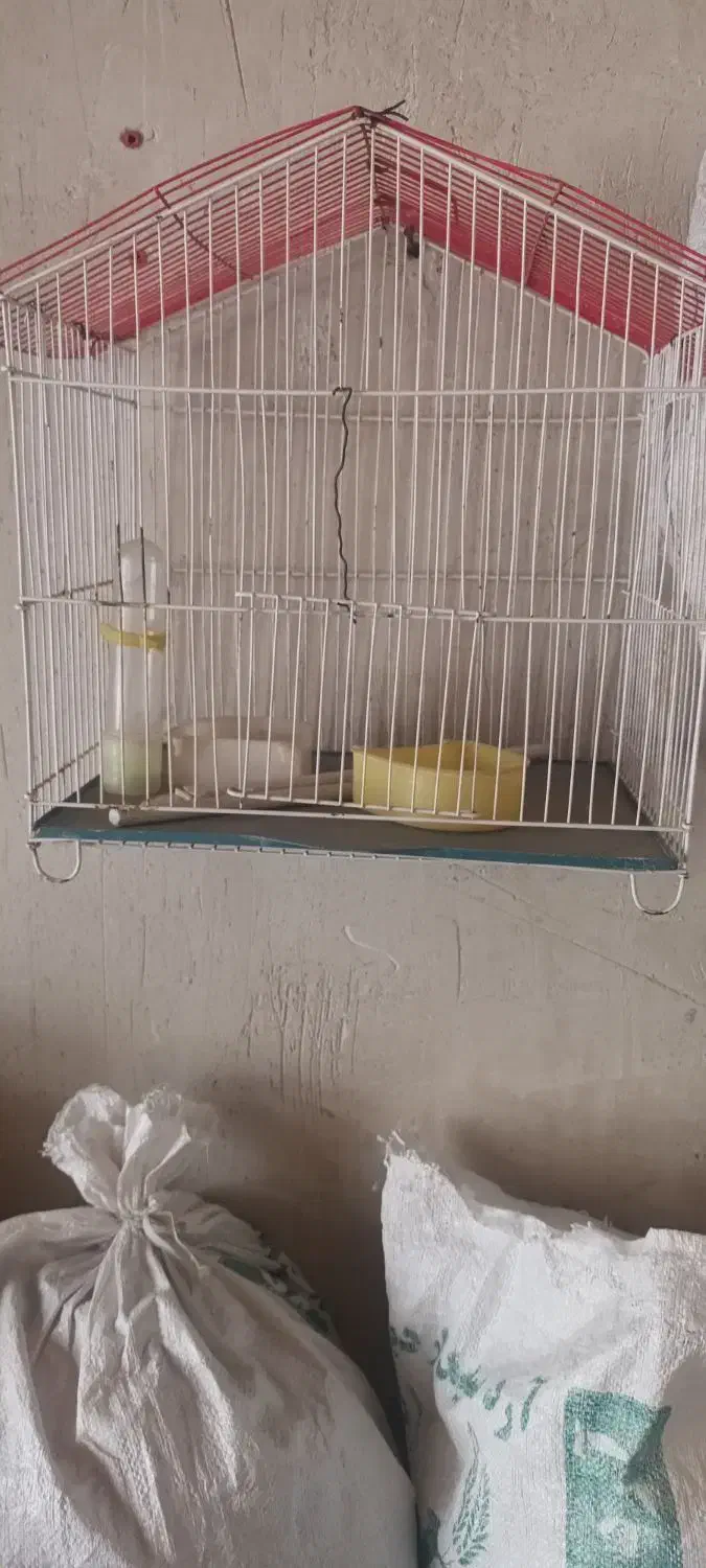 قفس عروس با وسایل آبخوری ودون خوریش|لوازم جانبی حیوانات|مرند, |دیوار