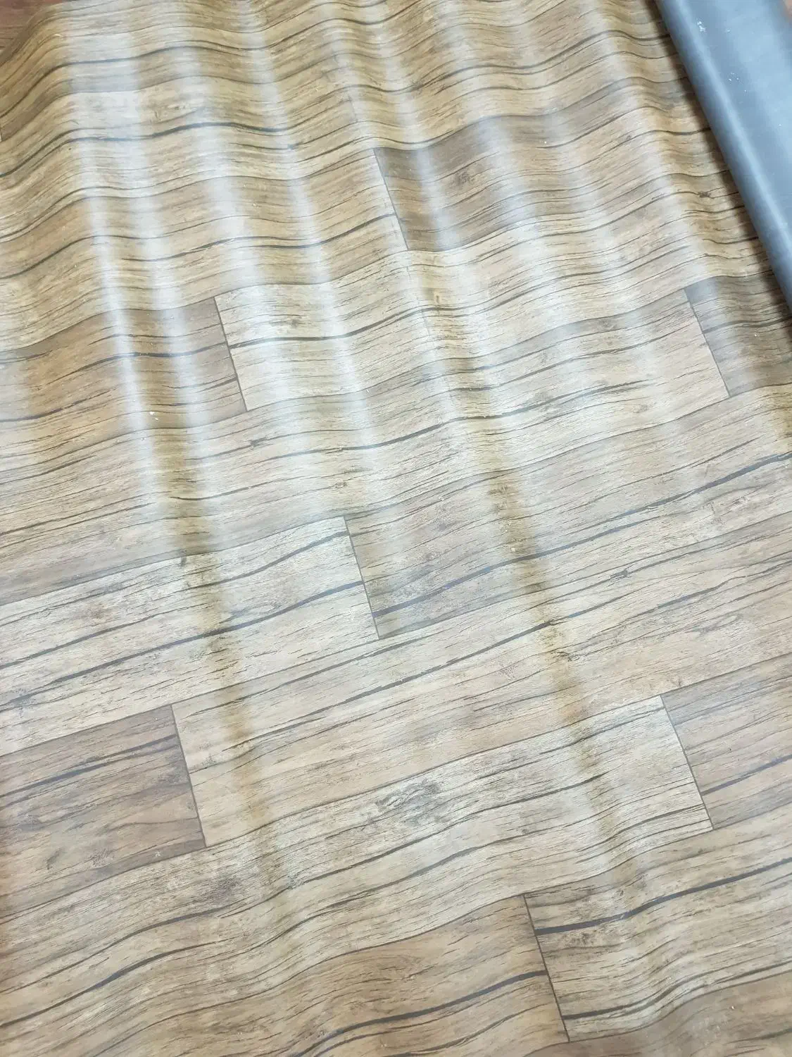 کفپوش|موکت|اهواز, ۲۴ متری|دیوار