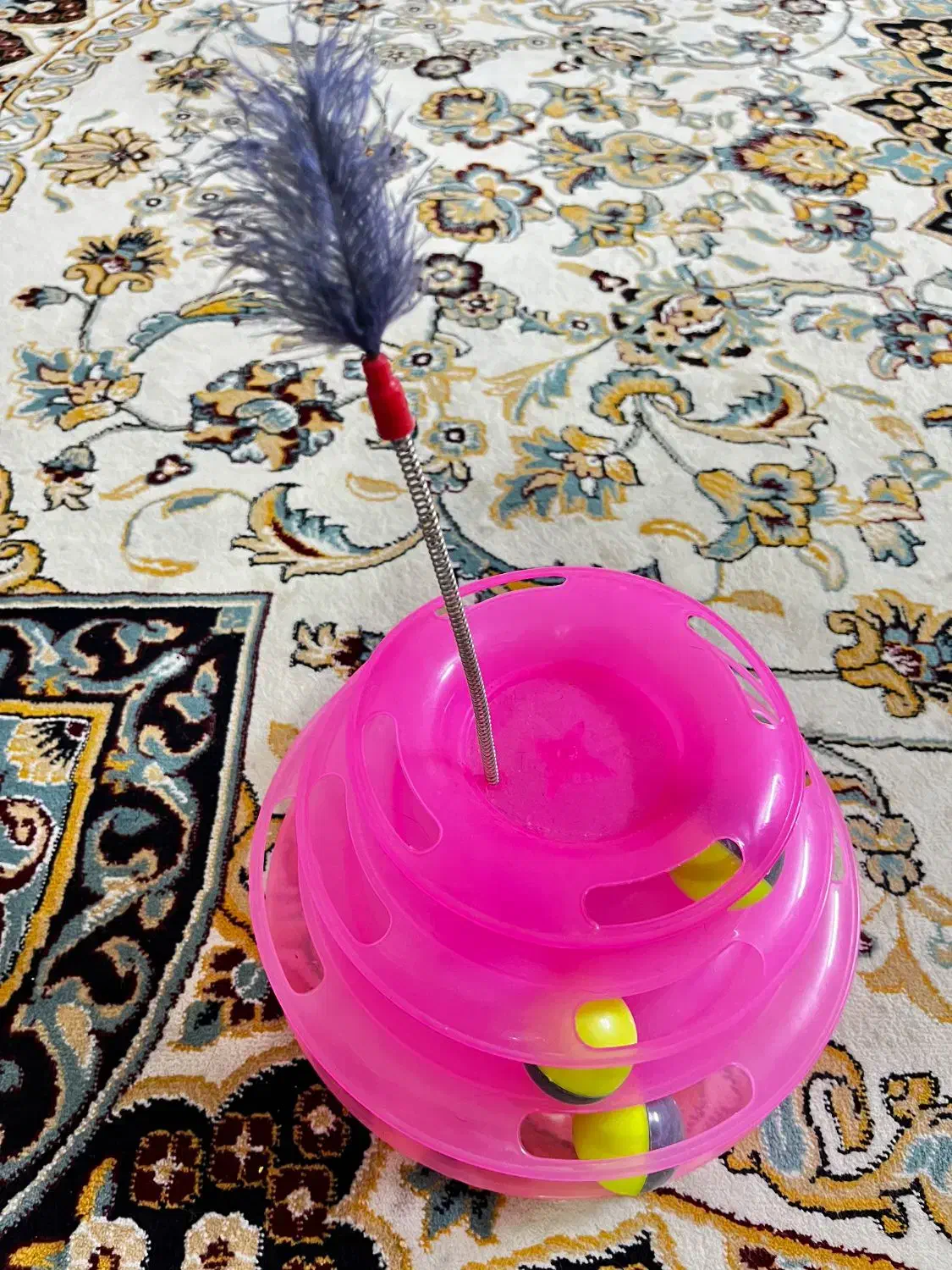 اسباب بازی گربه|لوازم جانبی حیوانات|ری, علایین|دیوار