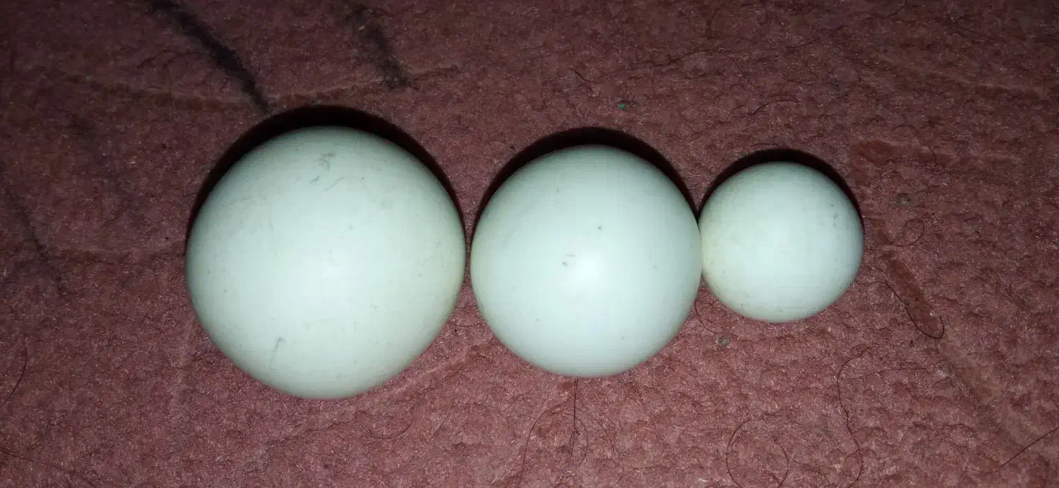 الماس اسیاب|کلکسیون اشیاء عتیقه|بندر گناوه, |دیوار