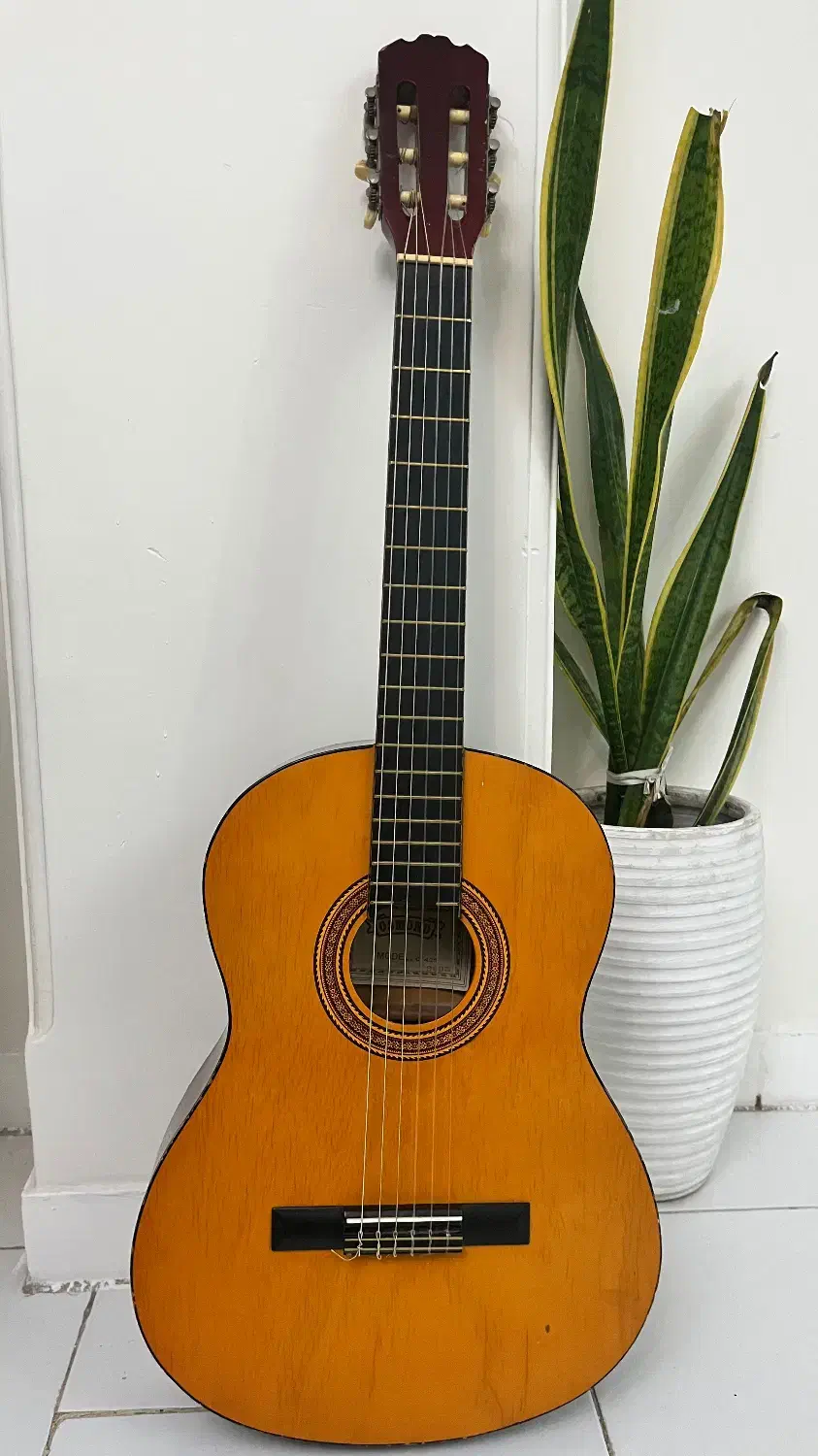 گیتار معاوضه|گیتار، بیس، امپلیفایر|فردیس, نسترن شرقی|دیوار