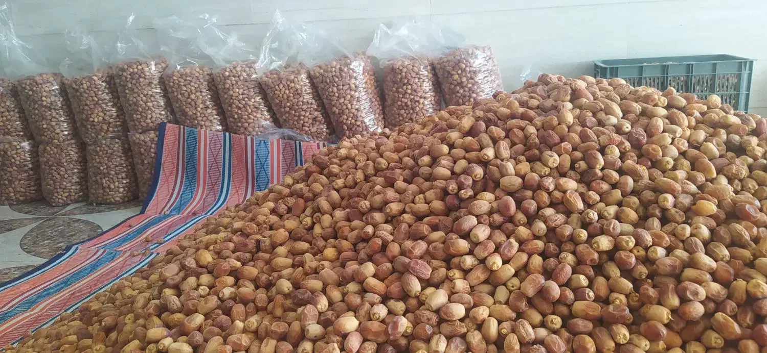 قصب زاهدی|عمدهفروشی|جهرم, |دیوار