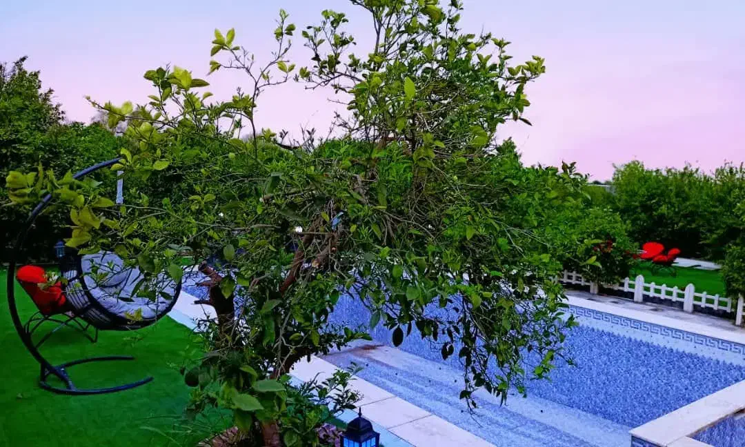 رهن و اجاره اپارتمان طبقه اول زیباشهر|اجارهٔ آپارتمان|شوش, |دیوار