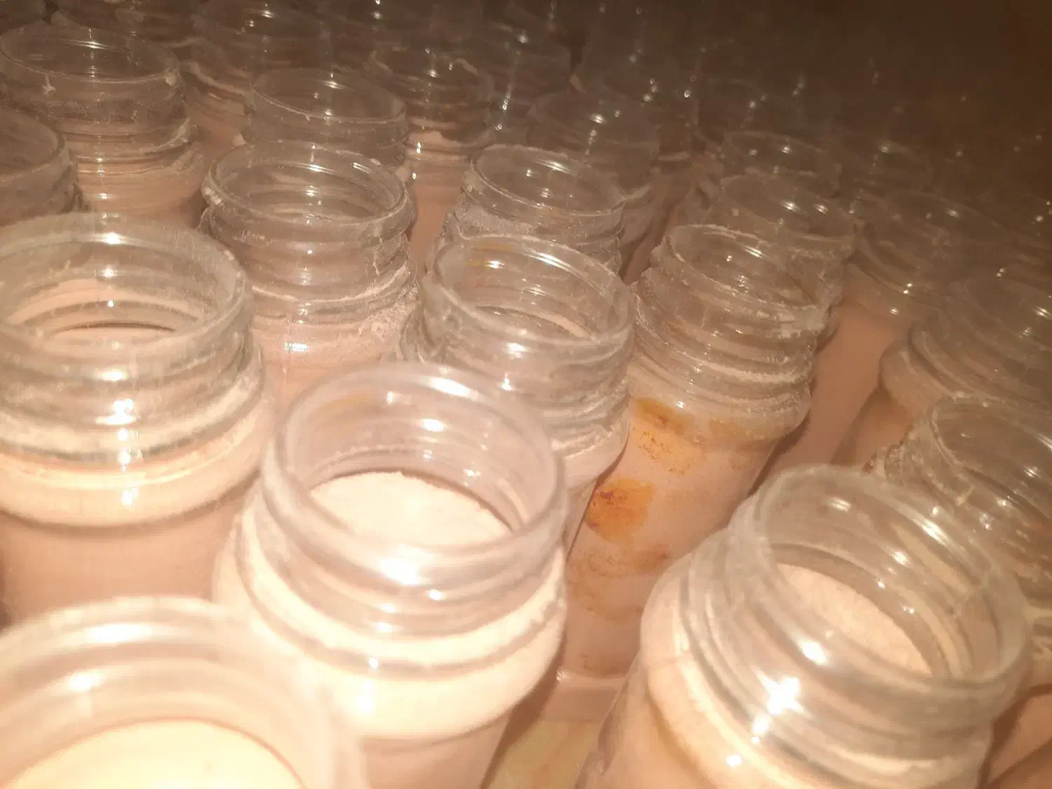 پودر زعفران و عصاره زعفران درجه ۱|خوردنی و آشامیدنی|اصفهان, ارغوانیه|دیوار