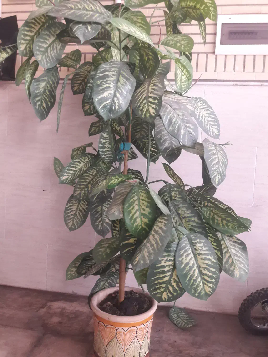 درختچه مصنوعی دیفن باخیا|گل مصنوعی|قم, انسجام|دیوار