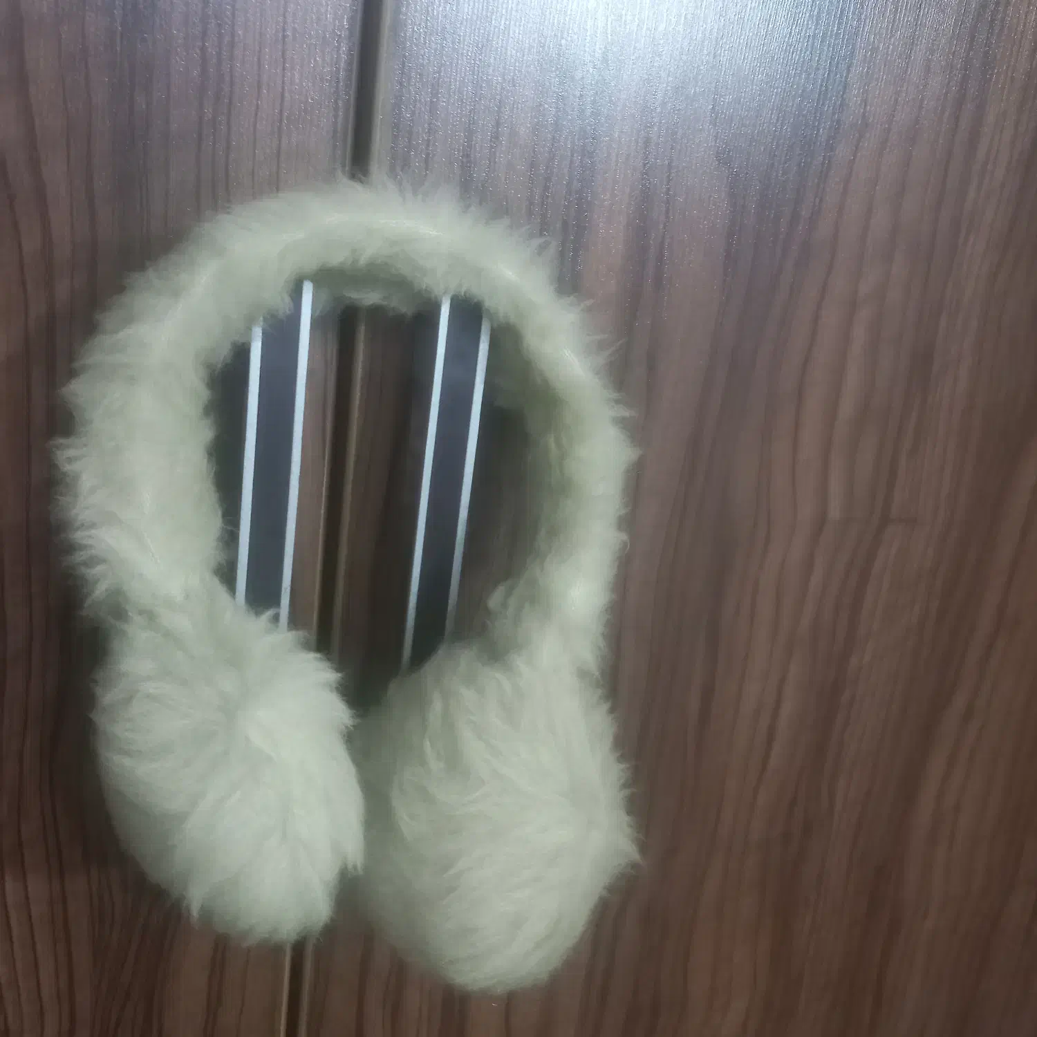 گوشگیر|کفش و لباس بچه|خورموج, |دیوار