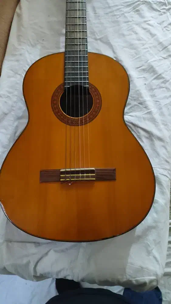 گیتار یاماها c70|گیتار، بیس، امپلیفایر|گنبد کاووس, |دیوار