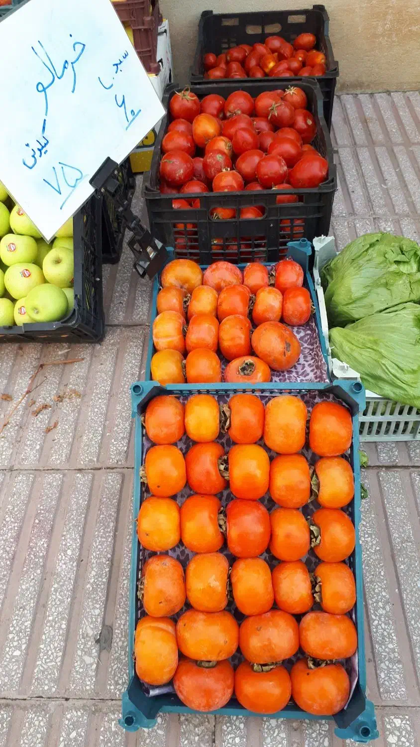 خرمالو درجه ۱|خوردنی و آشامیدنی|قم, بلوار امین و ساحلی|دیوار