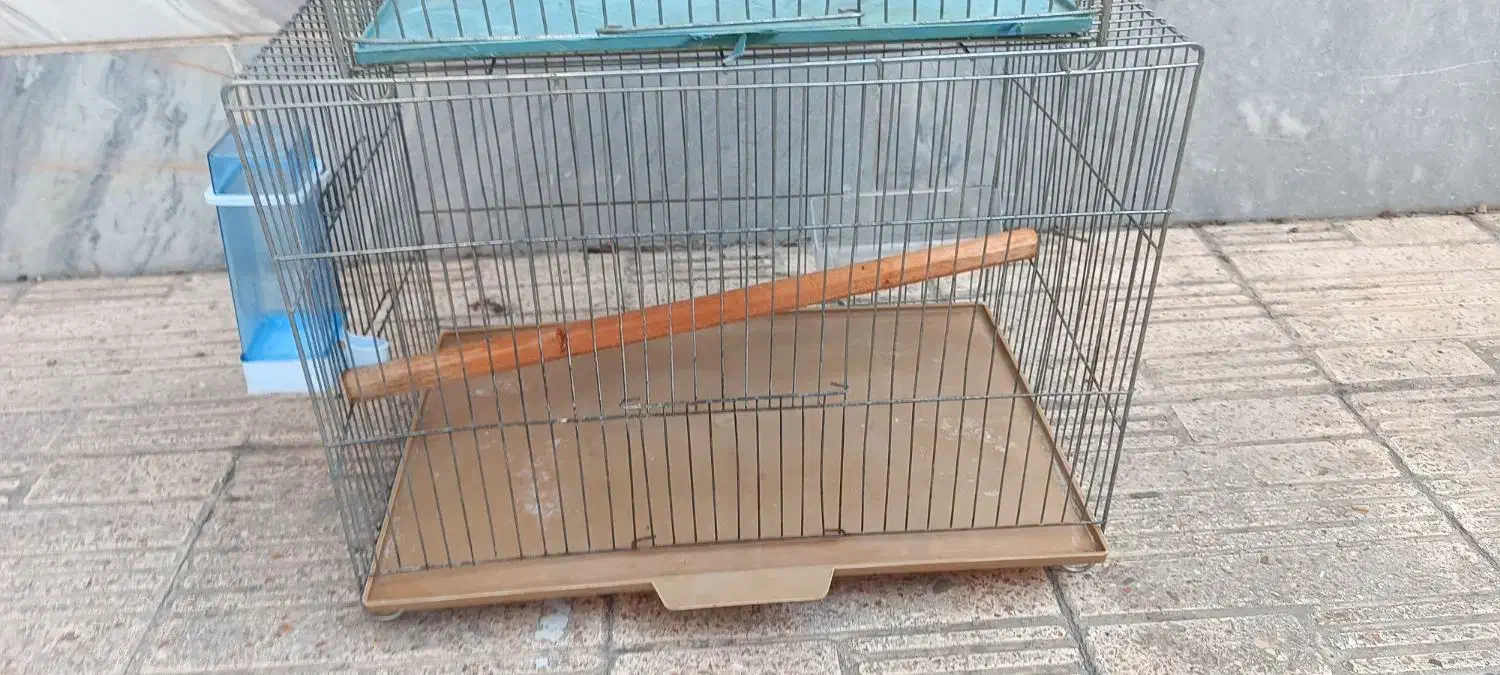 قفس در حد نو با وسایل|لوازم جانبی حیوانات|تهران, افسریه شمالی|دیوار
