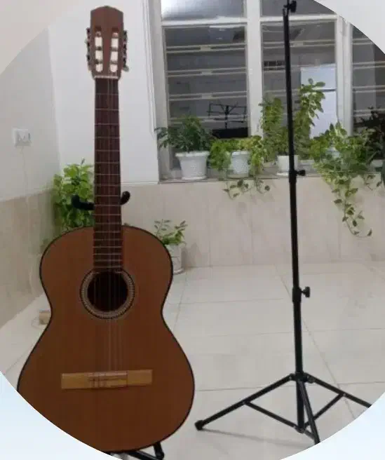 گیتار|گیتار، بیس، امپلیفایر|فسا, |دیوار