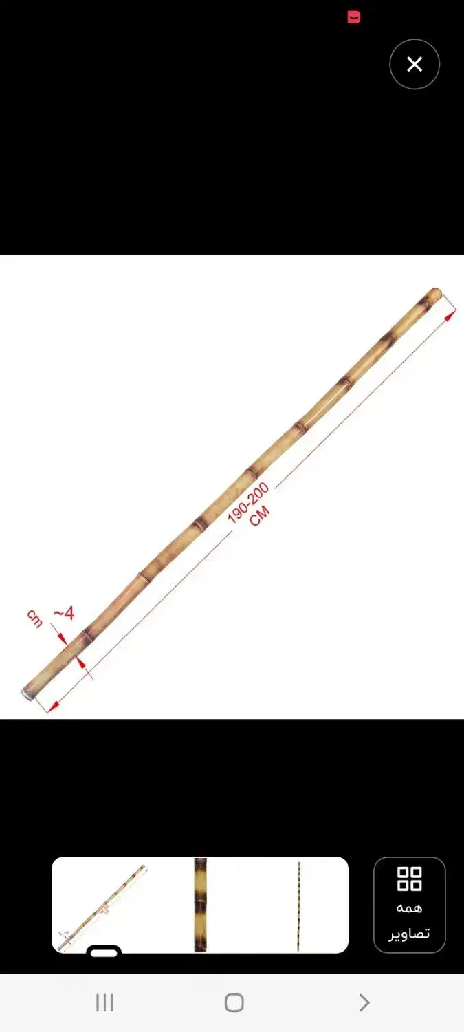 نی بامبو|صنایع دستی و سایر لوازم تزئینی|نیشابور, گنبد سبز|دیوار