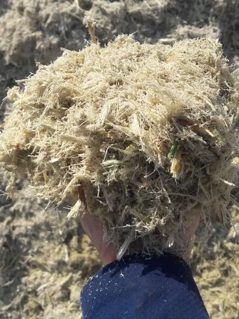 فروش انواع خوراک دام|عمدهفروشی|هامون, |دیوار