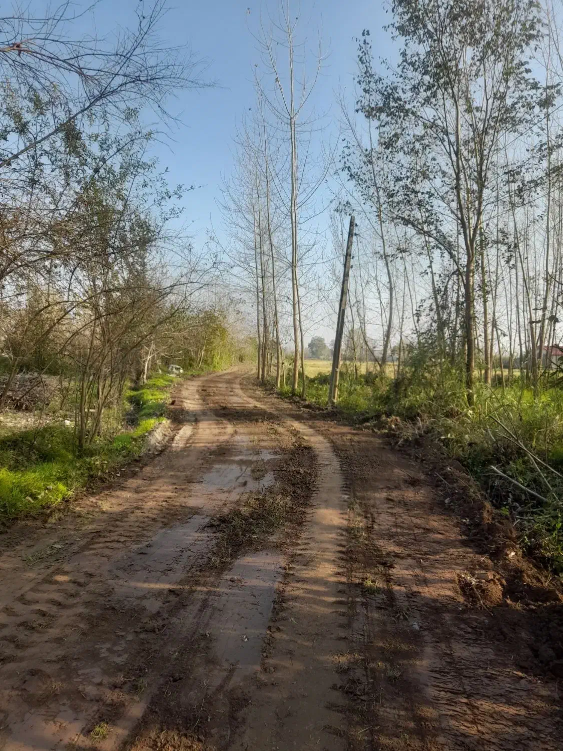 زمین های ۲۵۰تا ۳۰۰متری شهرکی ۱۰دقیقه تا گلسار|فروش زمین و ملک کلنگی|رشت, شکار اسطلخ|دیوار