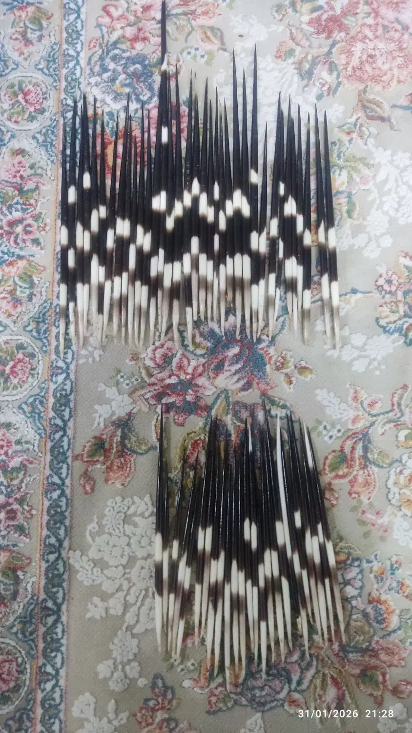 قلم دعا نویسی|کلکسیون و سرگرمی|پرهسر, |دیوار