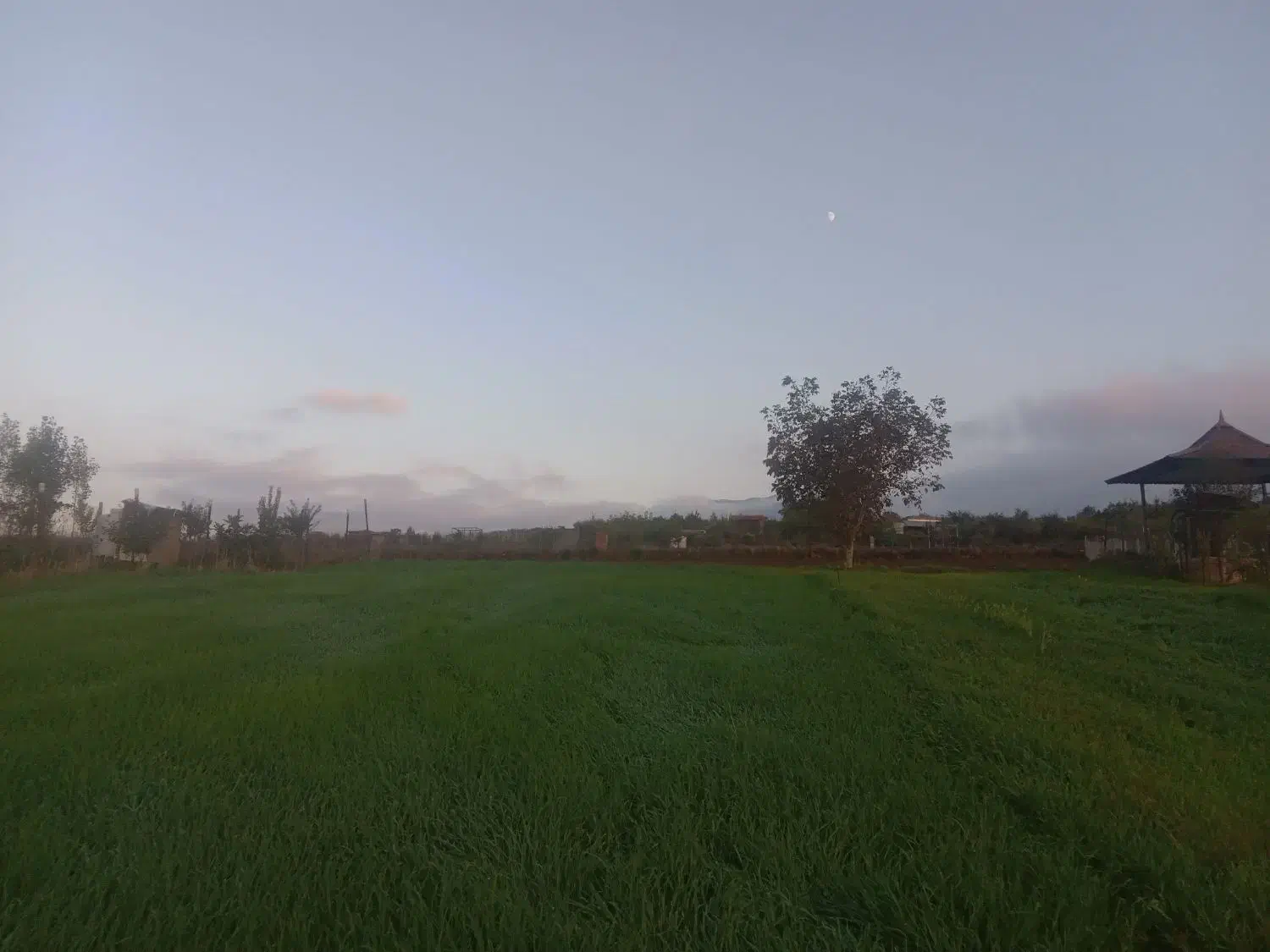 دو قطعه زمین به مساحت ۴۵۰متر و ۱۵۰۰مترروستای نوچمن|فروش زمین و ملک کلنگی|گرگان, |دیوار