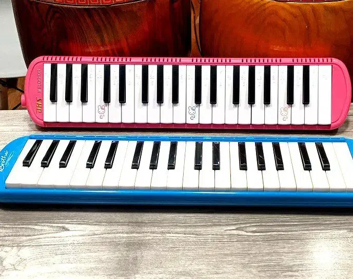 ملودیکا ۳۷ کلید Bee . پیانو . گیتار|سازهای بادی|تهران, شمسآباد|دیوار