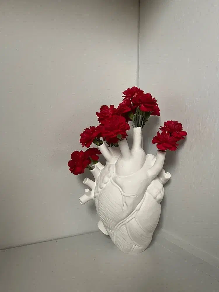 گوشواره گم کردم|اشیا|زنجان, |دیوار