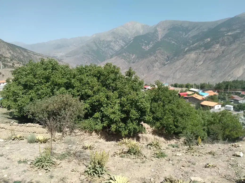 زمین متراژ دلخواه داخل بافت|فروش زمین و ملک کلنگی|گزنک, |دیوار