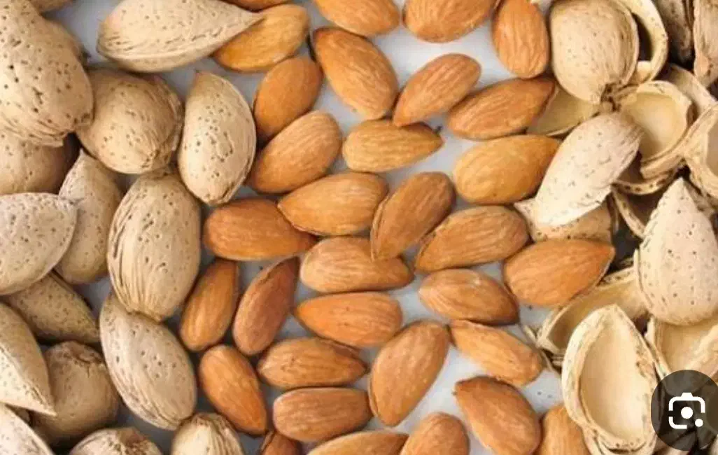 باددام . گردو|خوردنی و آشامیدنی|سپیدان, |دیوار