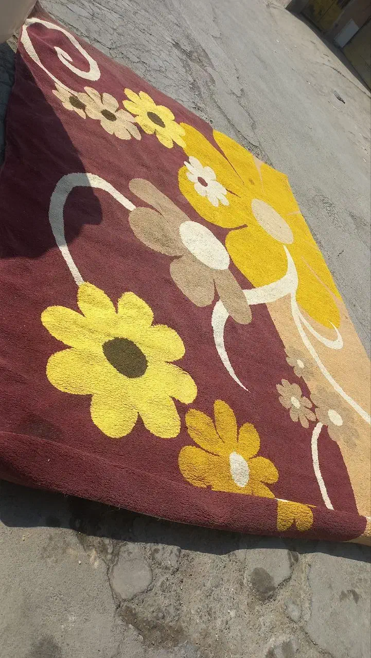 فروش فرش|گلیم، جاجیم، گبه|مسجد سلیمان, |دیوار