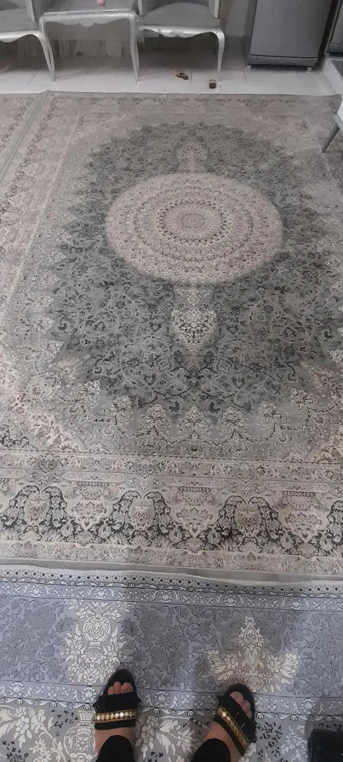 دوتخته فرش ۹متری ۷۰۰شانه درحدنو|فرش|رودهن, |دیوار