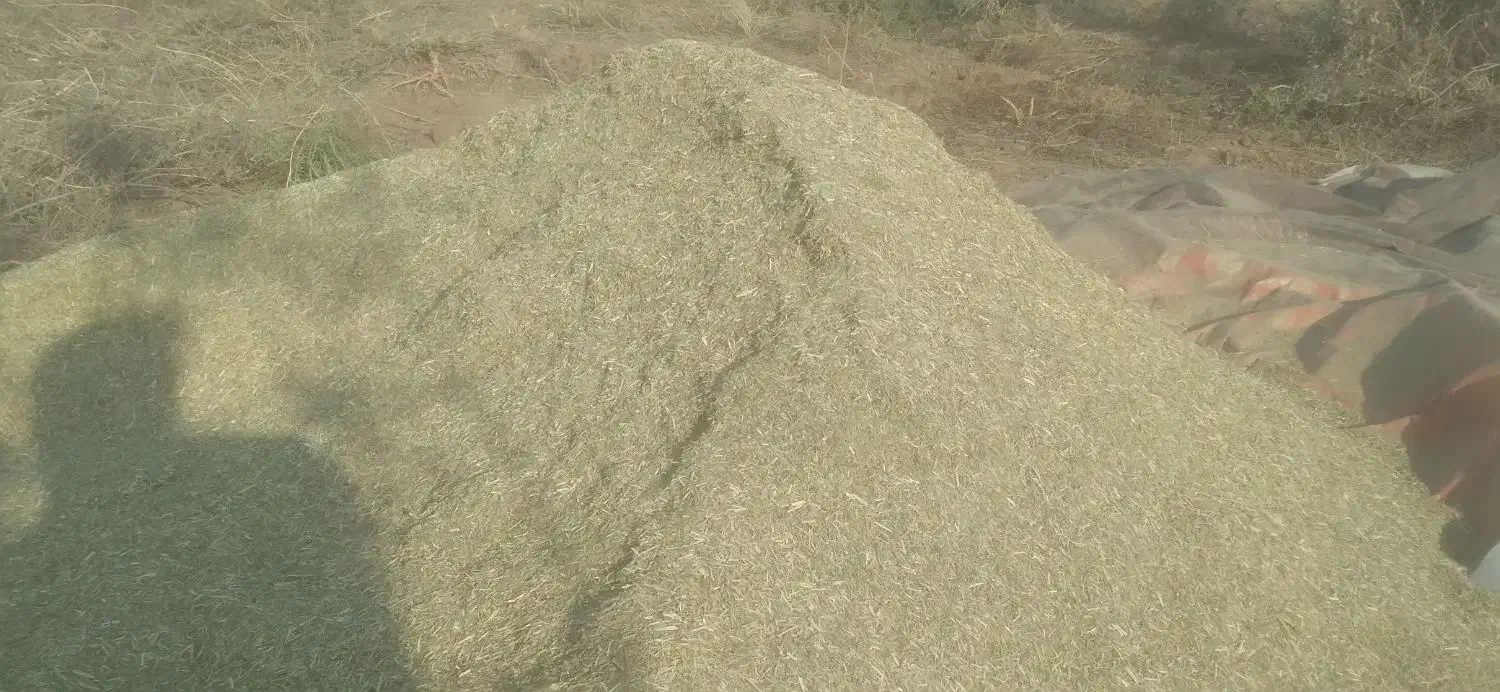 خار فروشی|لوازم جانبی حیوانات|میان جلگه, |دیوار