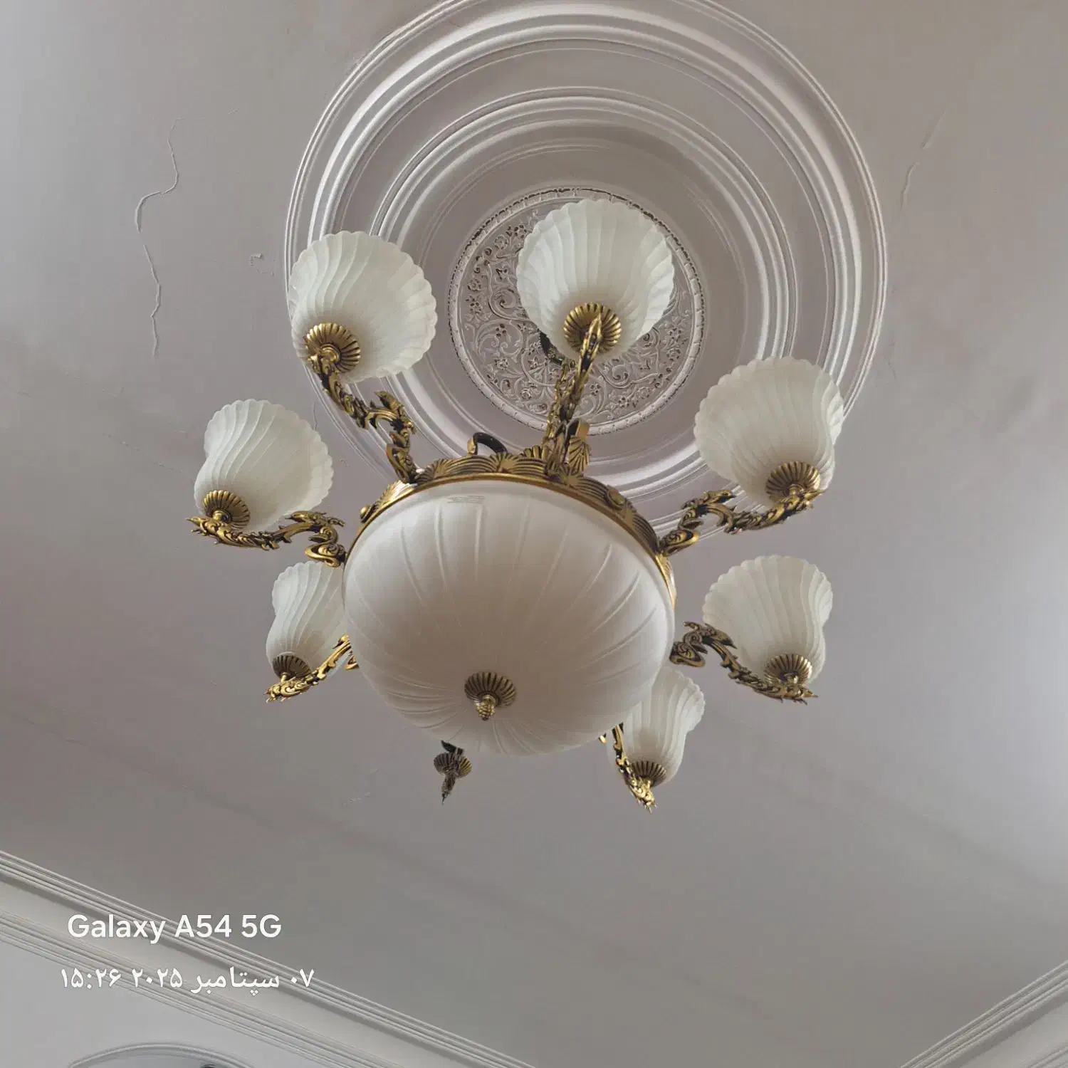 لوستر ۸شاخه خارجی|لوستر و چراغ آویز|قم, زنبیل آباد|دیوار