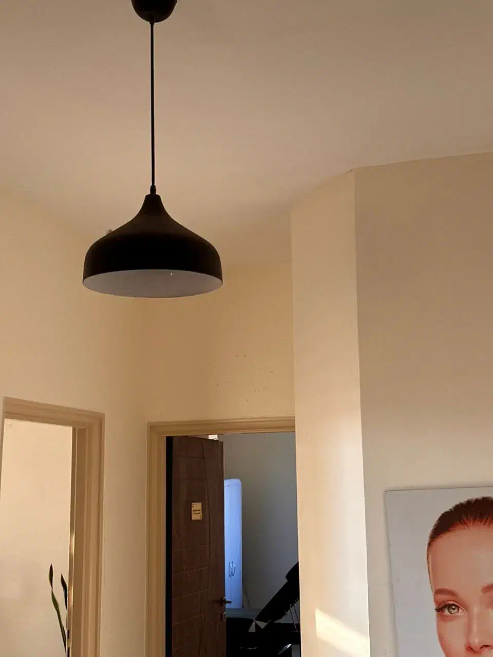 لوستر و آویز|لوستر و چراغ آویز|قزوین, |دیوار