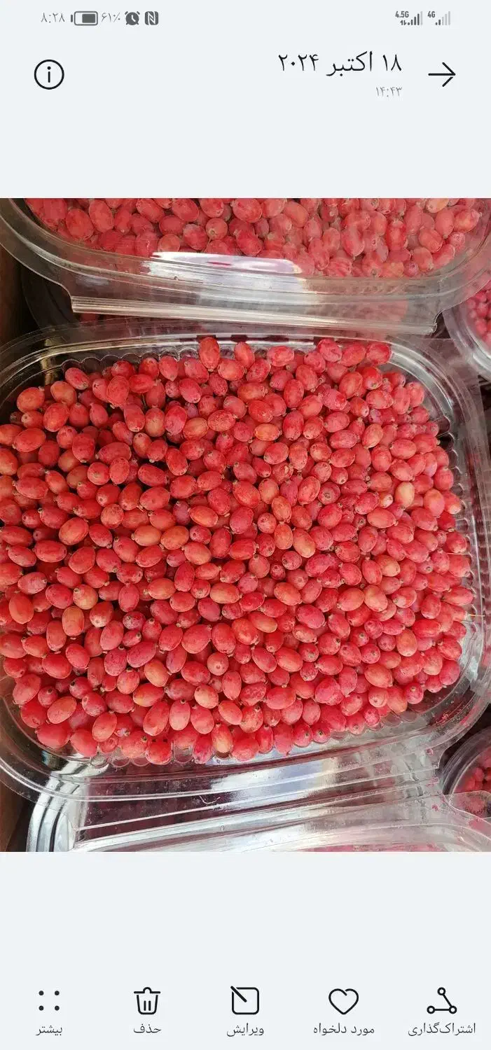 زرشک تازه دانه شده و آب زرشک تازه خالص و طبیعی|خوردنی و آشامیدنی|مشهد, ابوذر|دیوار