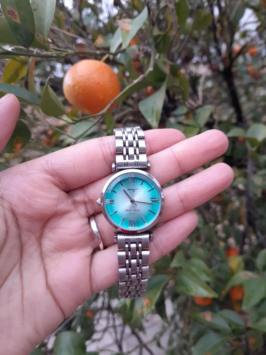 ساعت|ساعت|فسا, |دیوار