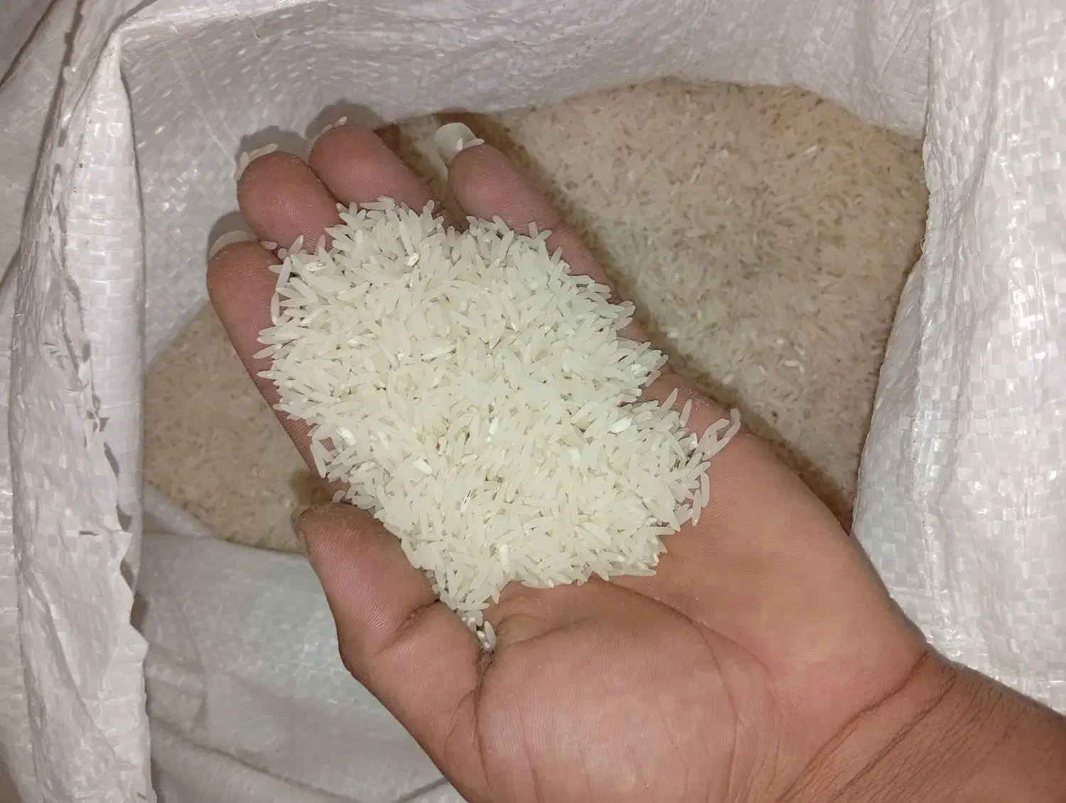 برنج فجر سوزنی درجه یک|خوردنی و آشامیدنی|گرگان, |دیوار