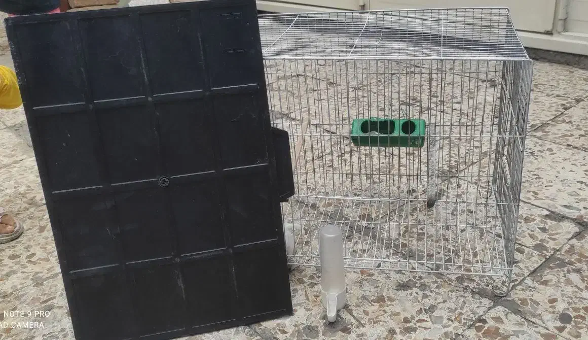 قفس پرنده|لوازم جانبی حیوانات|قم, چهار مردان|دیوار