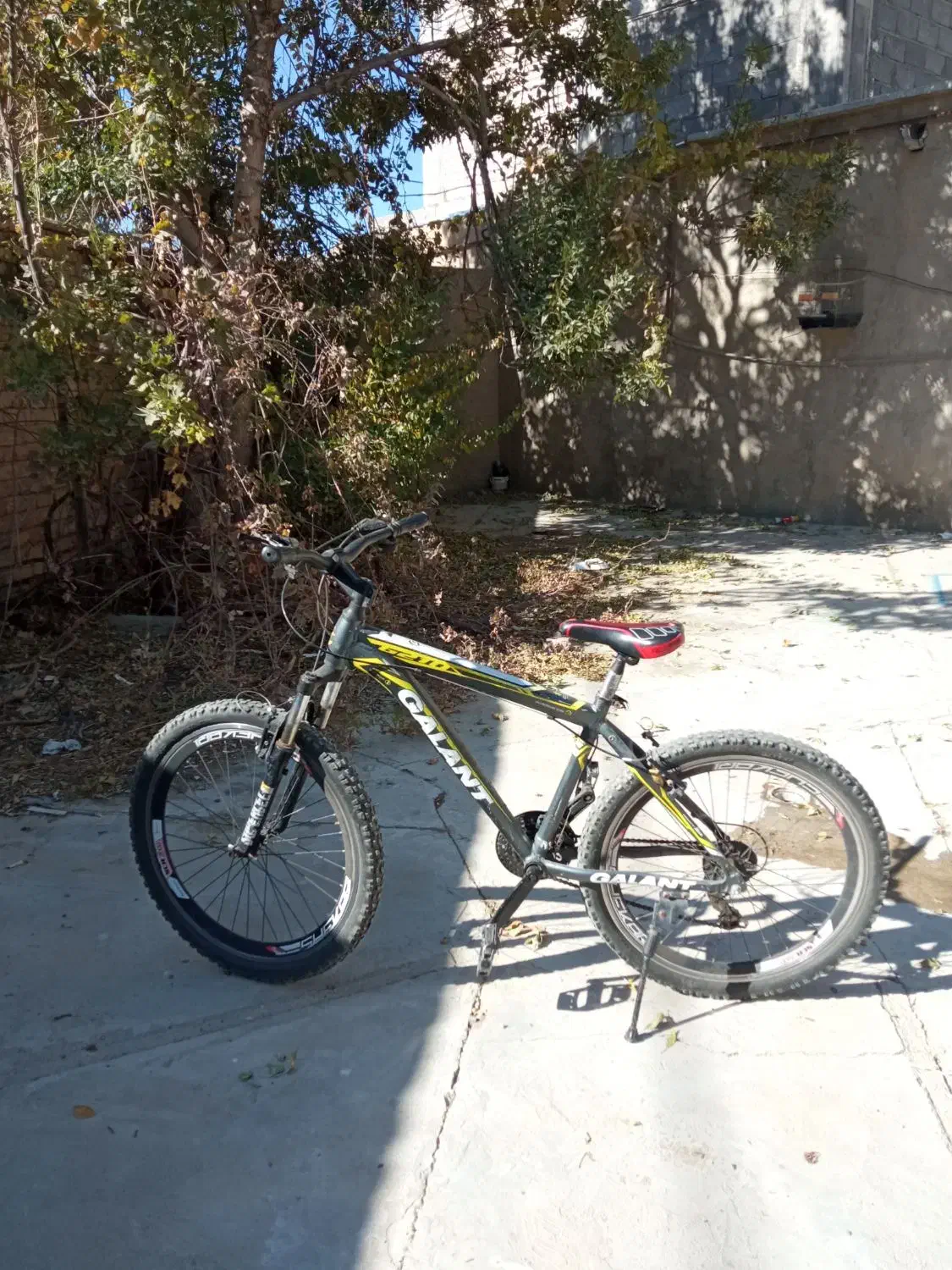 دوچرخه فوری فروشی|دوچرخه، اسکیت، اسکوتر|تکاب, |دیوار