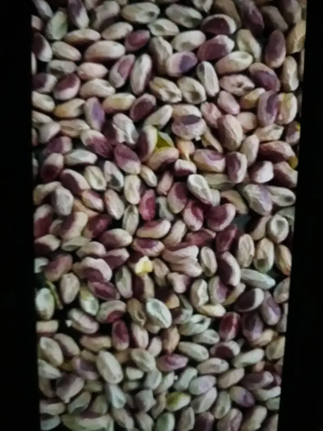 مغز پسته از کجا پیدا کنم|فعالیت داوطلبانه|انار, |دیوار