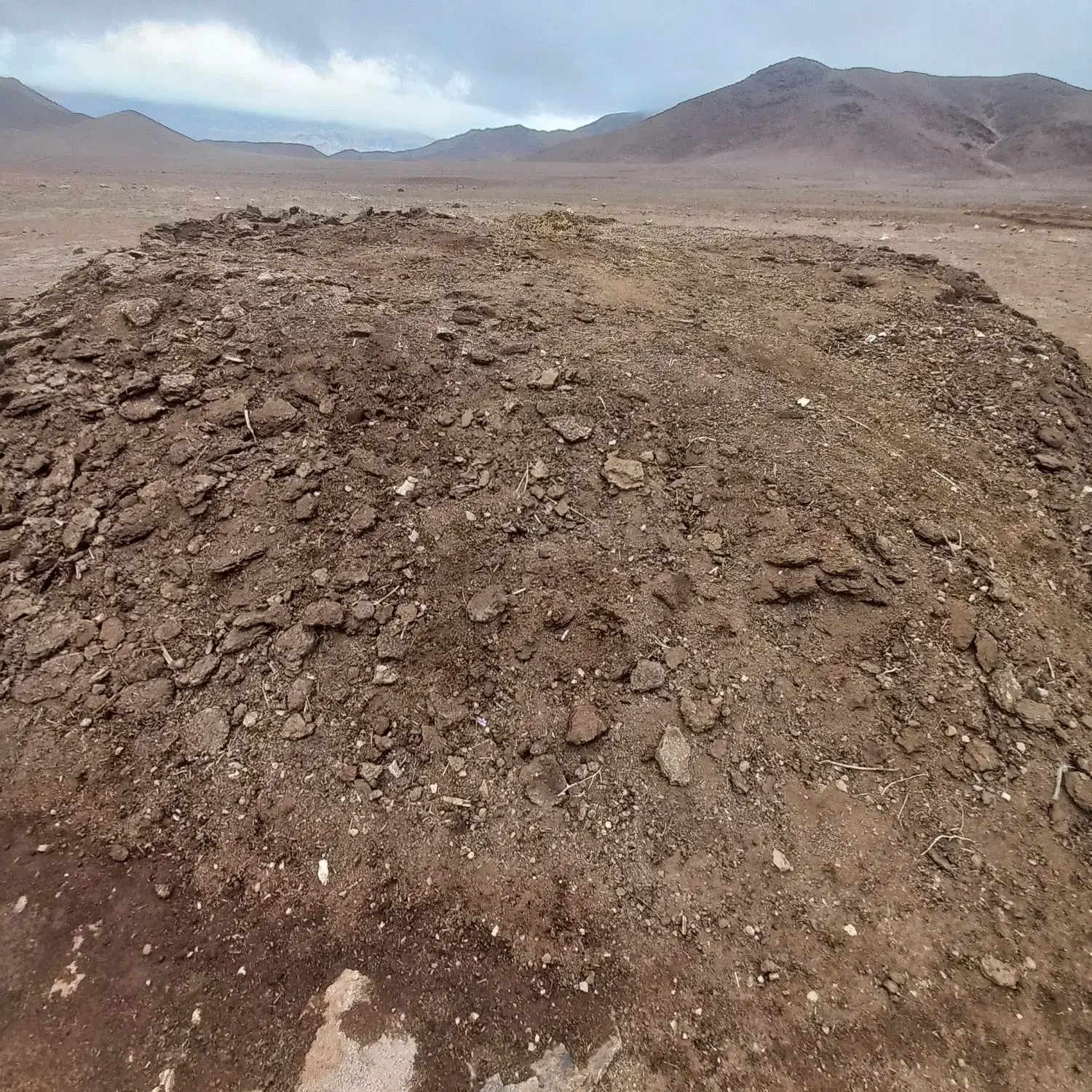 پهین گوسفند|لوازم جانبی حیوانات|حاجیلار, |دیوار