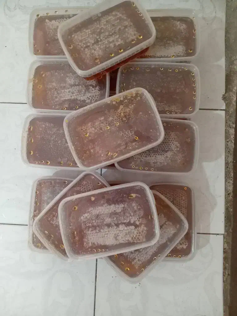 عسل گون کوهی تویسرکان به شرط تست|خوردنی و آشامیدنی|تهران, خاوران|دیوار