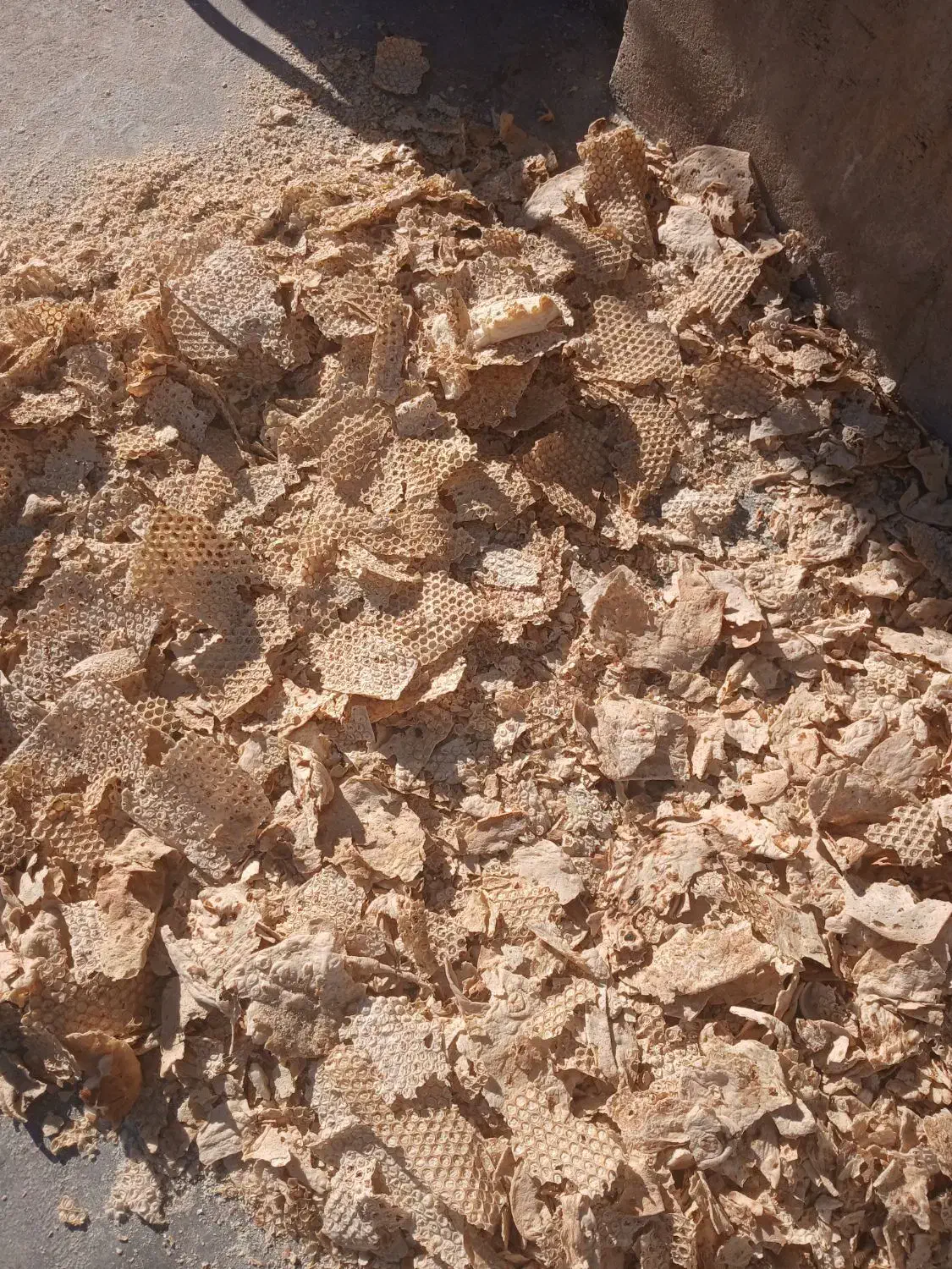 نون خشک|عمده‌فروشی|بهبهان, |دیوار