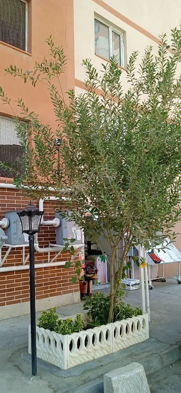 اجاره واحد در مهرگان|اجارهٔ آپارتمان|محمدیه-قزوین, |دیوار