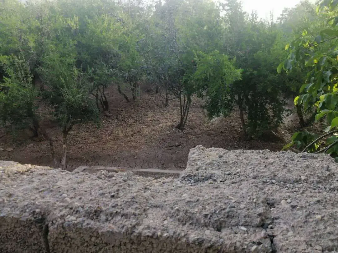 باغ درمنطقه  خوش اب هوا و تاریخی|فروش دفتر صنعتی، کشاورزی، تجاری|سیدان, |دیوار