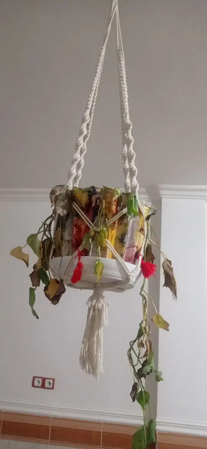 گلدان فروشی|گل و گیاه طبیعی|دهدشت, |دیوار