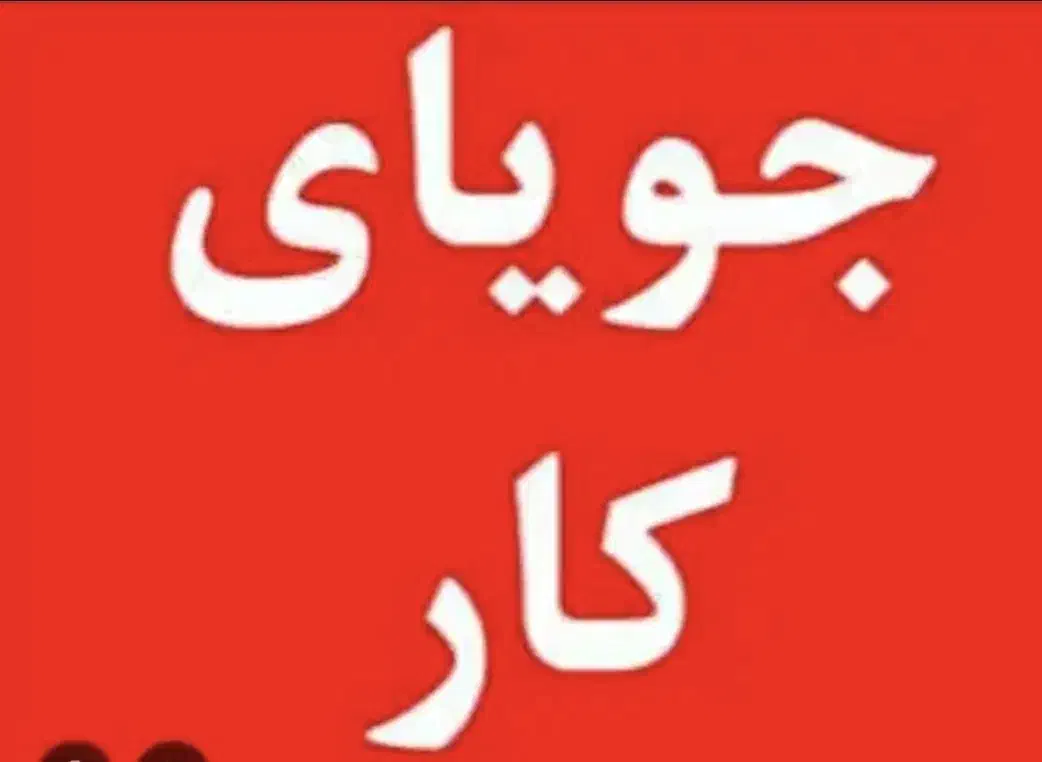 جویای کار|خدمات رایانهای و موبایل|یزد, |دیوار