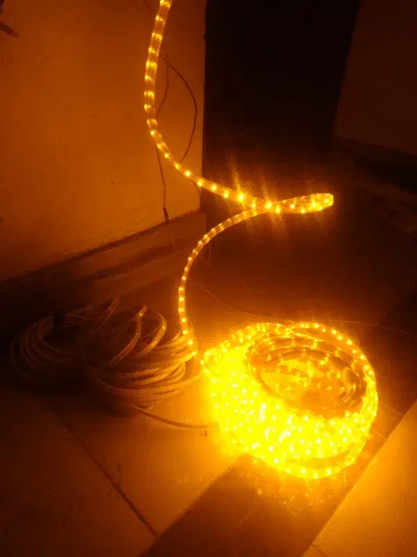 ریسه شیلنگی|ریسه و چراغ تزئینی|داراب, |دیوار