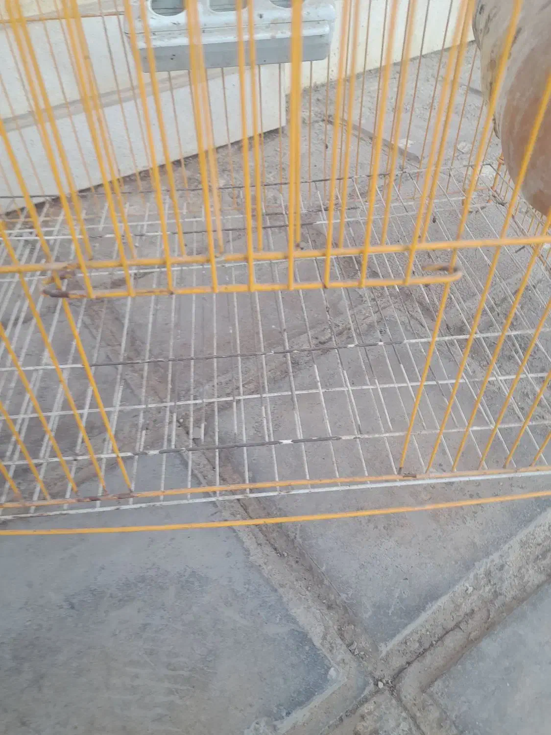 قفس پرنده|لوازم جانبی حیوانات|گنبد کاووس, |دیوار