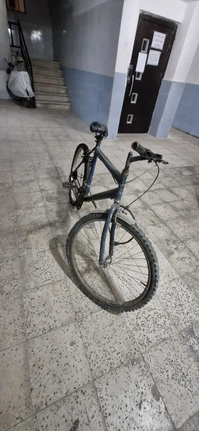 دوچرخه ۲۶|دوچرخه، اسکیت، اسکوتر|الشتر, |دیوار