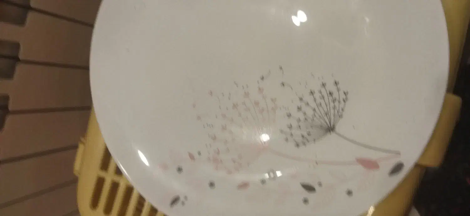 سرویس پذیرایی|ظروف سرو و پذیرایی|فشاپویه, |دیوار