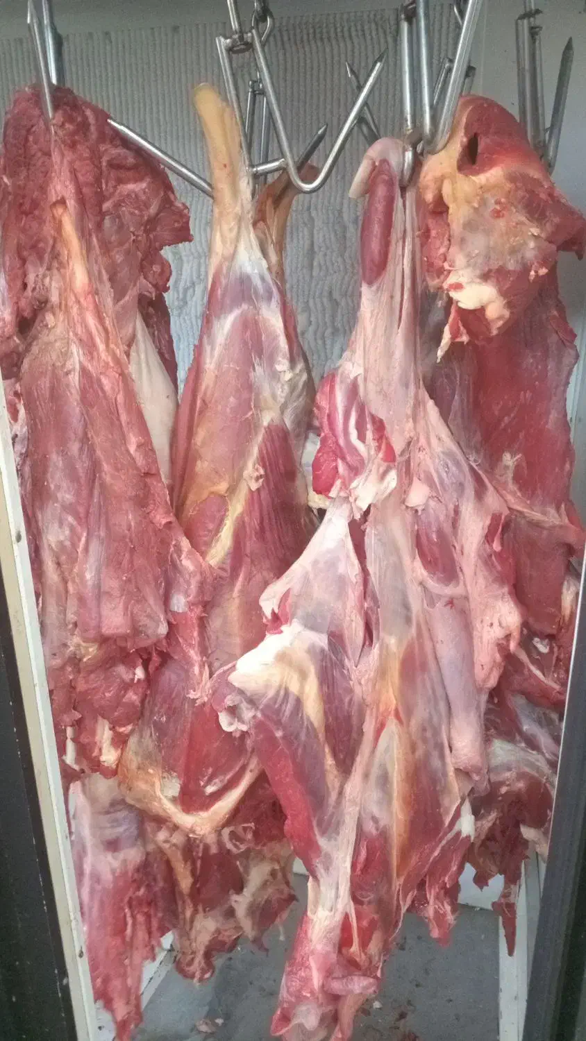 گوشت گوساله ران  ودست  هر کیلو  ۷۴۹ هزار|خوردنی و آشامیدنی|تهران, هروی|دیوار
