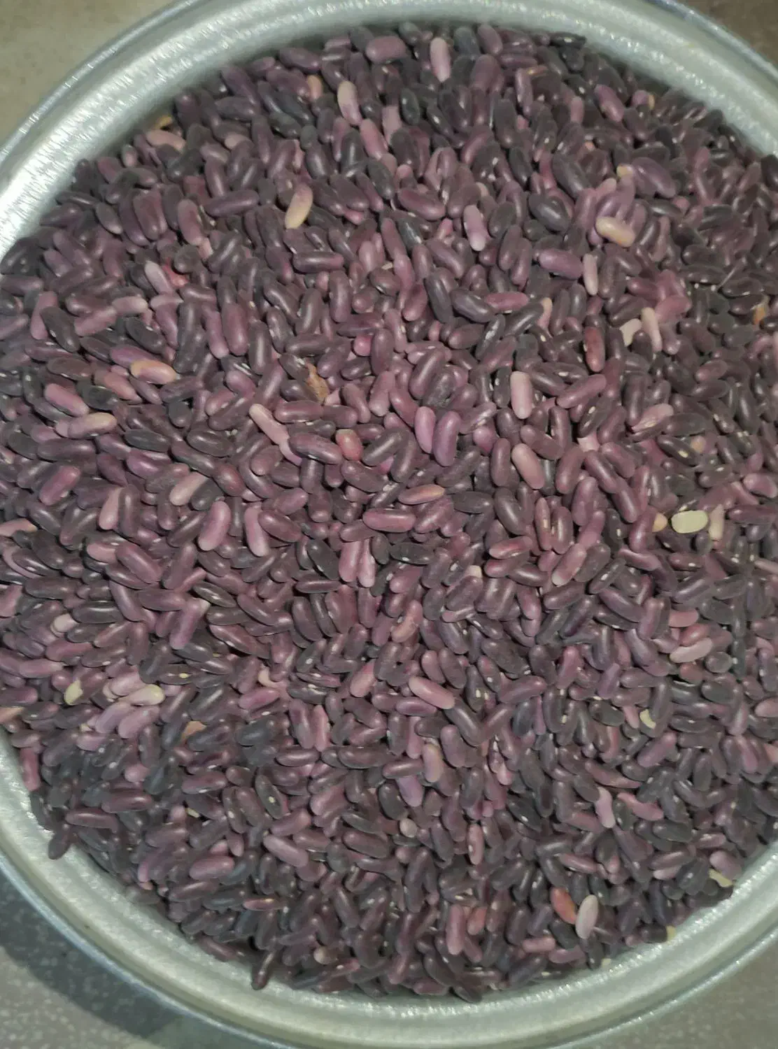 لوبیا قرمزکپسولی محلی|خوردنی و آشامیدنی|شیراز, میانرود|دیوار
